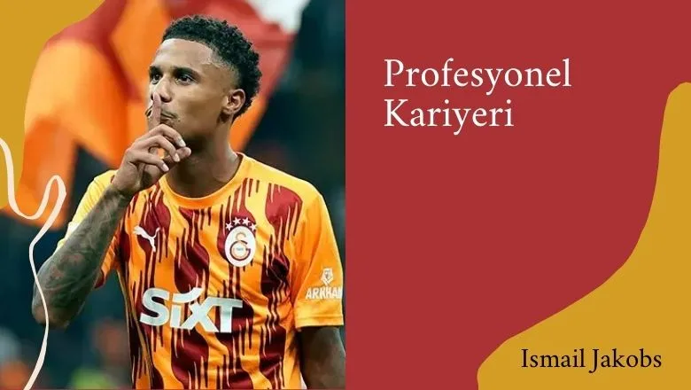 Profesyonel Kariyeri